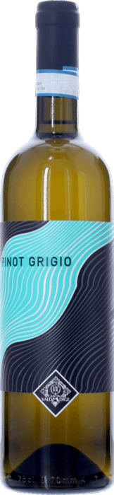 2024-PINOT-GRIGIO-Delle-Venezie-Cantina-Valdadige.240x700.34005
