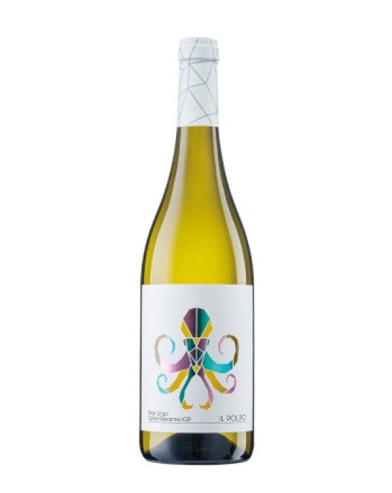 diversitas-polpo-pinot-grigio-doc-delle-venezie-2022